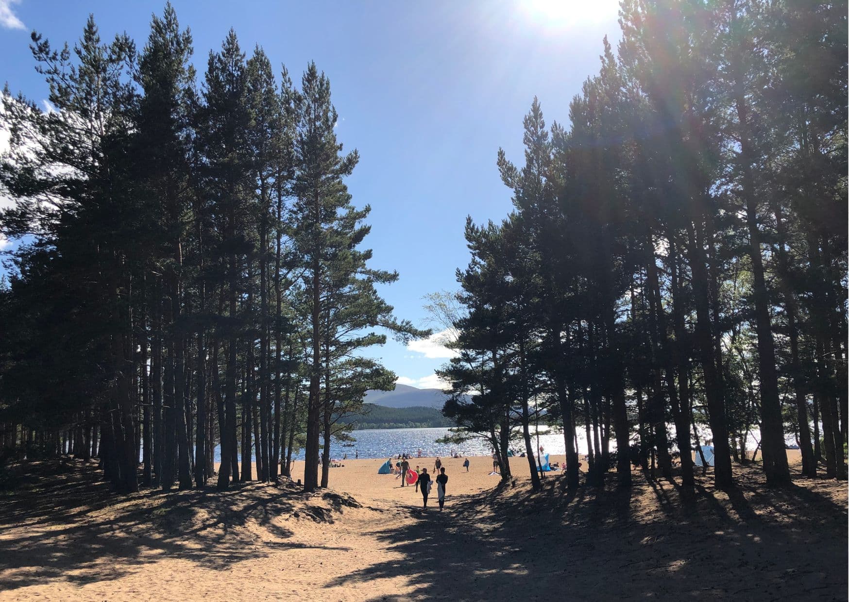 Breathtaking Picnic Spots in the Highlands