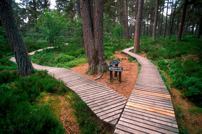 Family Days Out in the Scottish Highlands