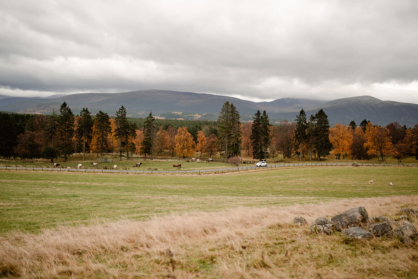The Alvie Collection: Four Unique Highland Escapes
